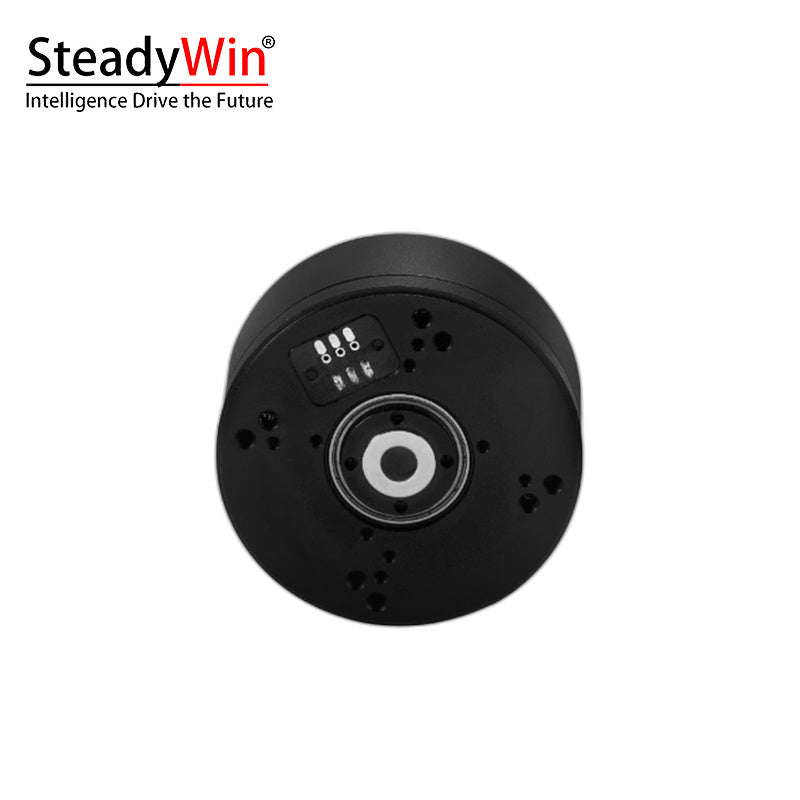 SteadyWin GB5215 Motor