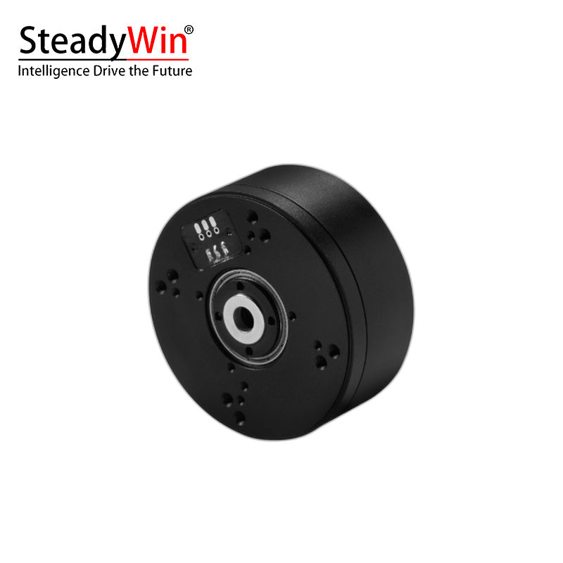 SteadyWin GB5215 Motor