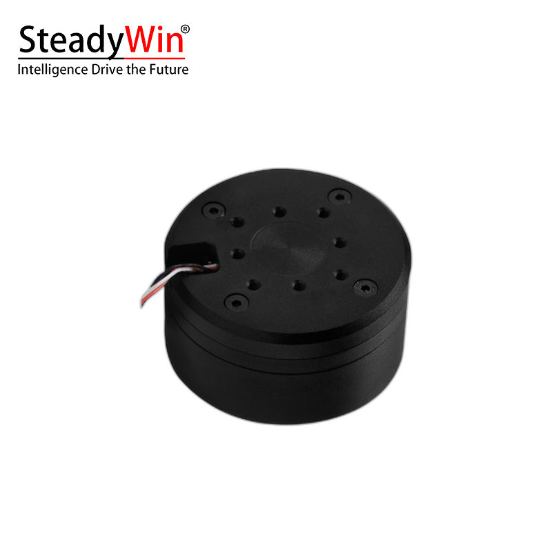 SteadyWin GB5215 Motor