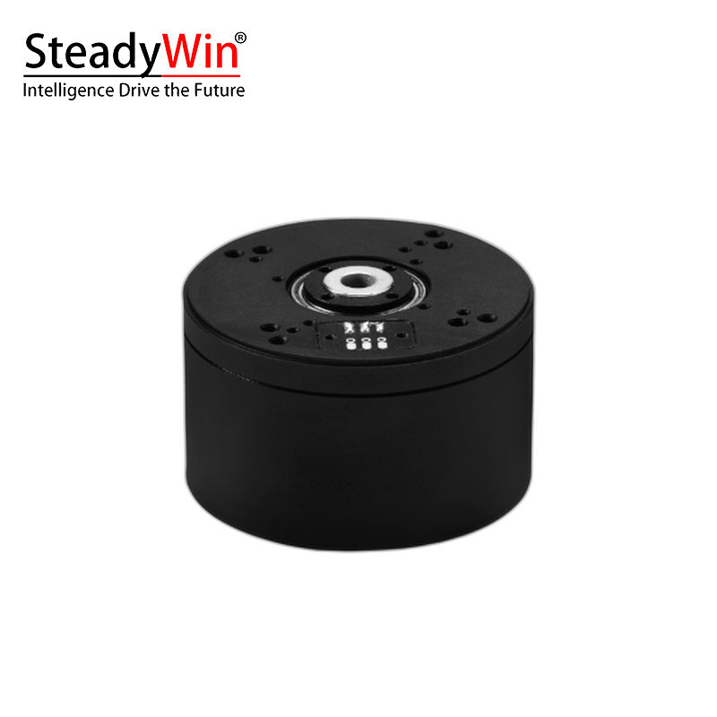 SteadyWin GB5225 Motor