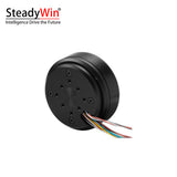 SteadyWin GB6010 Motor