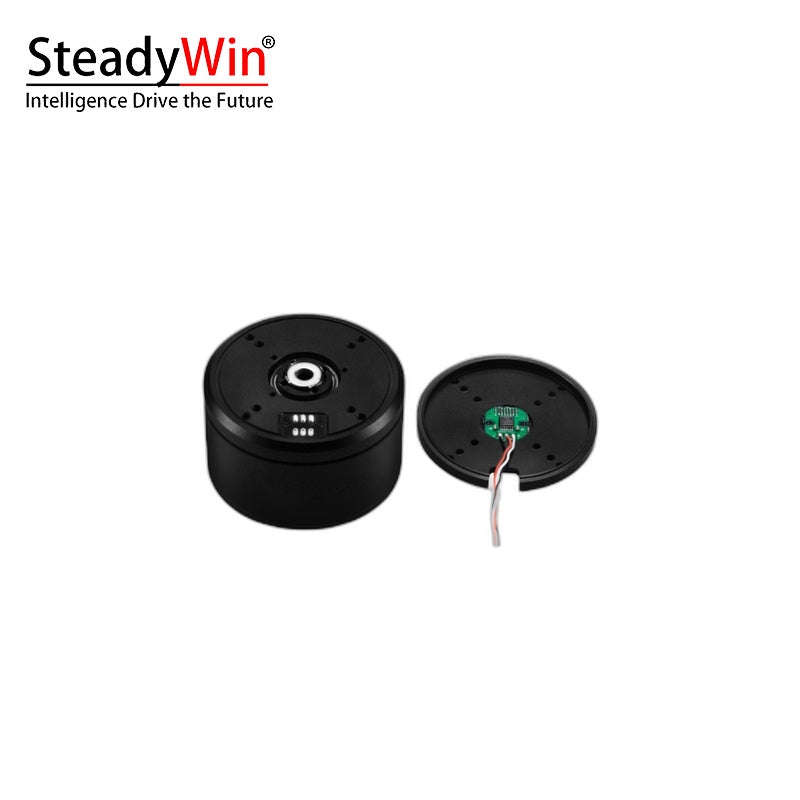 SteadyWin GB6025 Motor