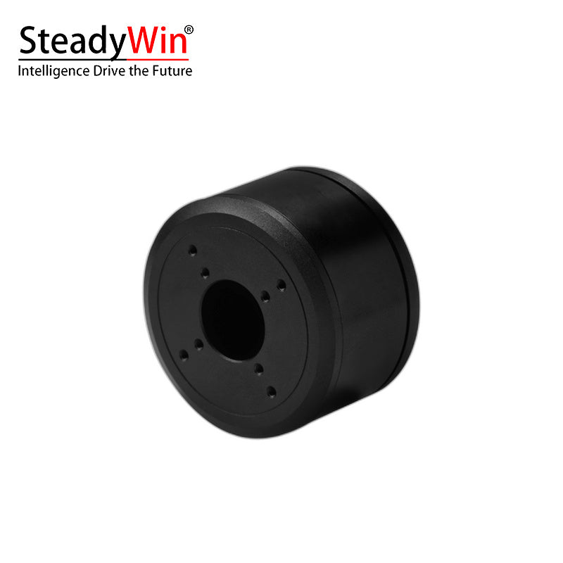 SteadyWin GB6025 Motor
