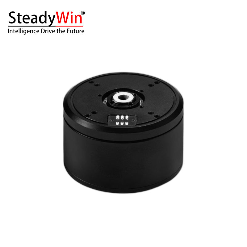 SteadyWin GB6025 Motor