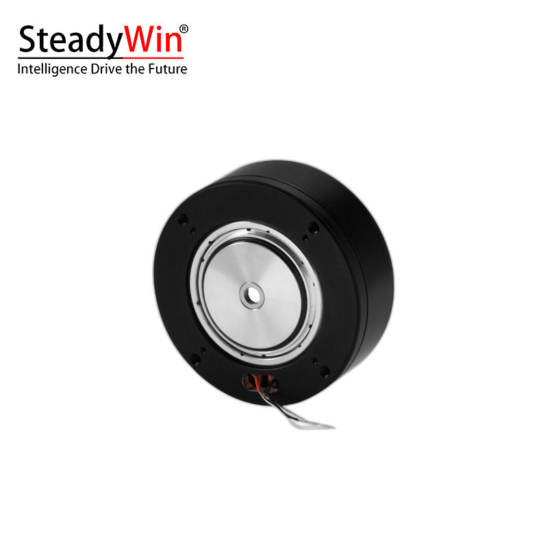 SteadyWin GB7215 Motor