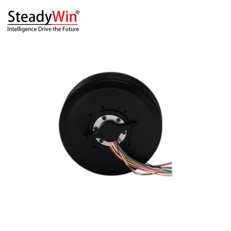 SteadyWin PM100 Motor