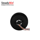 SteadyWin PM100 Motor