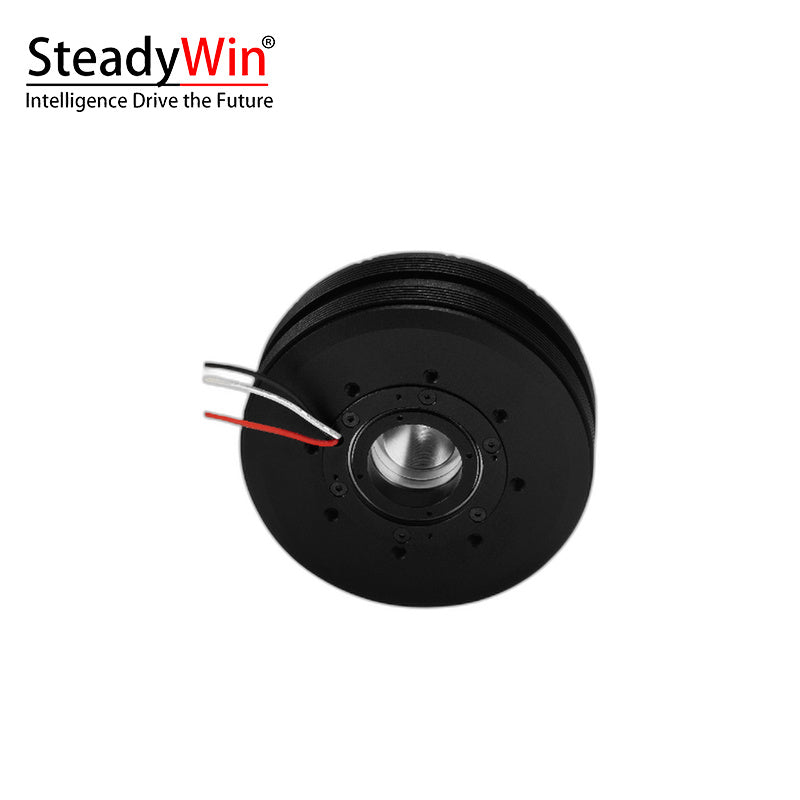 SteadyWin PM120 Motor