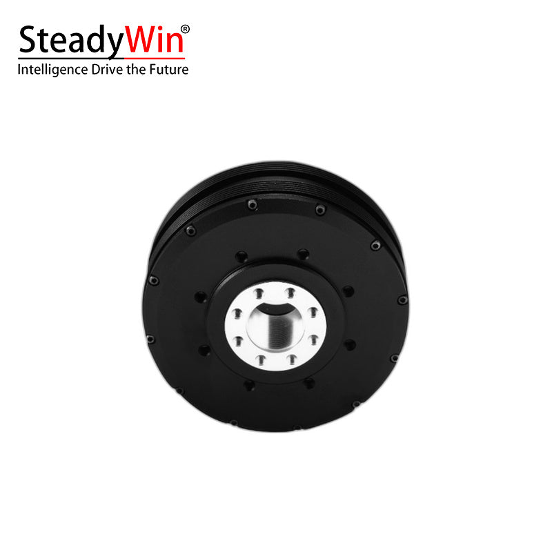 SteadyWin PM120 Motor