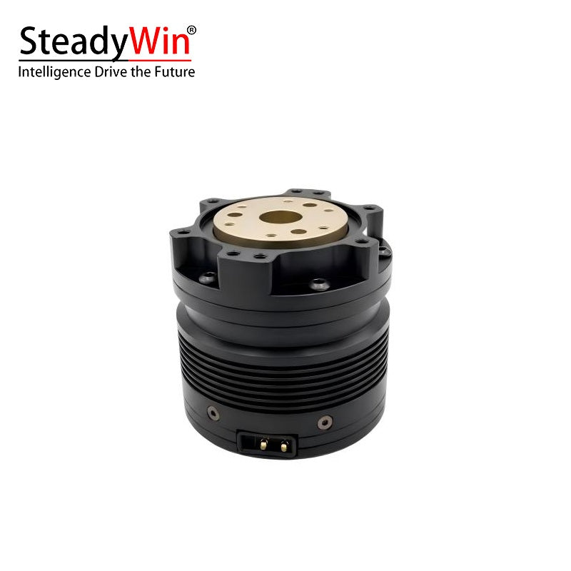 SteadyWin TT4510-36 Motor
