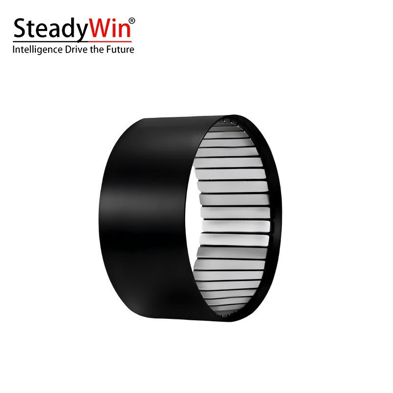 SteadyWin WK10060 Motor