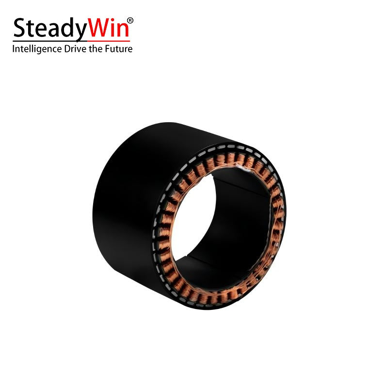 SteadyWin WK10060 Motor