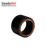 SteadyWin WK10060 Motor