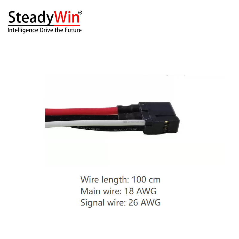 SteadyWin TT4510-10 Motor