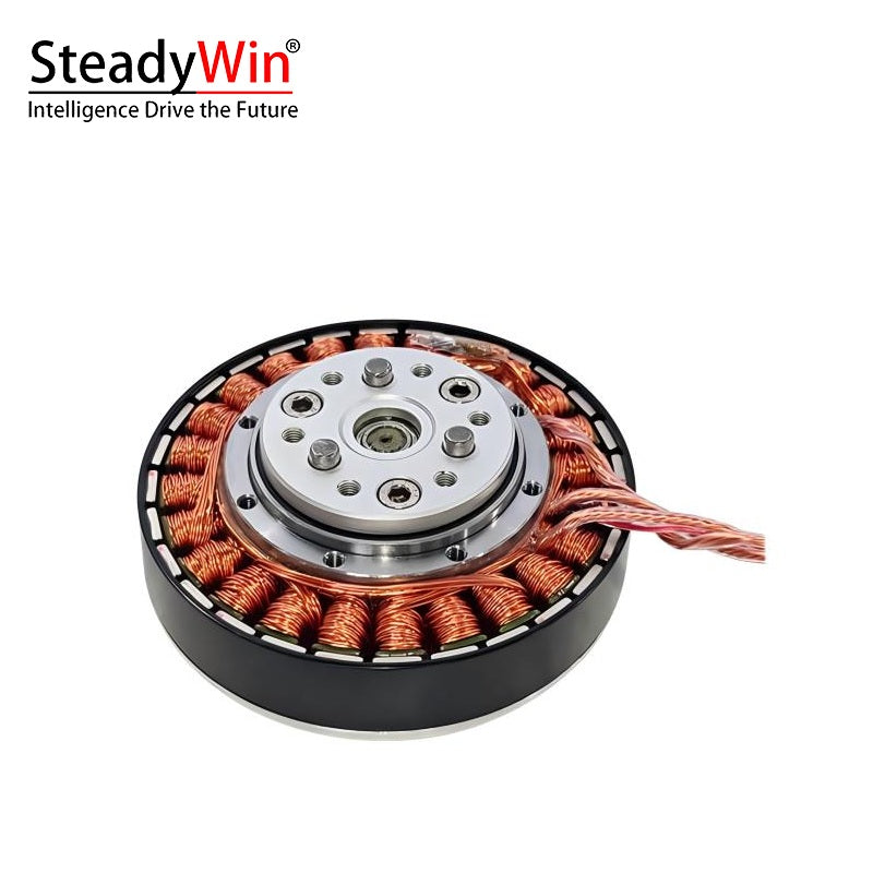 SteadyWin GWK6010-8 Motor