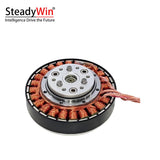 SteadyWin GWK6010-8 Motor