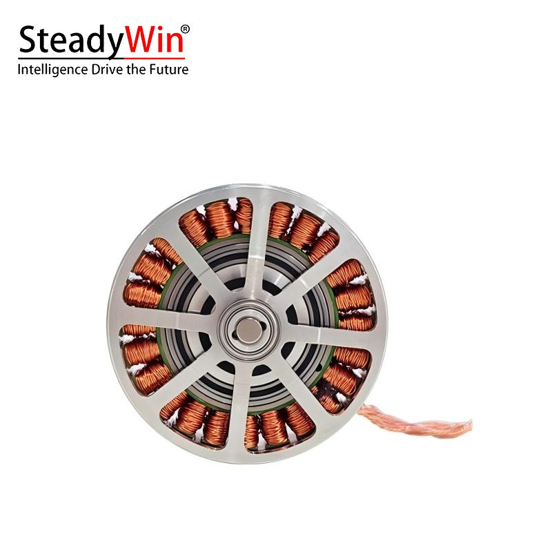 SteadyWin GWK6010-8 Motor