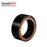 SteadyWin WK10025 Motor