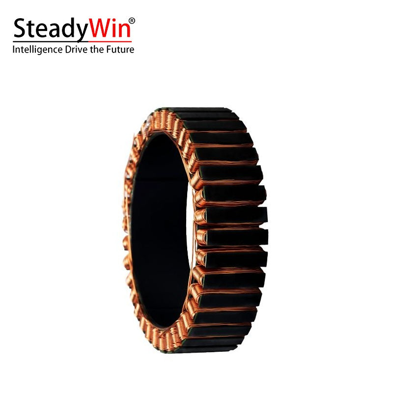 SteadyWin WK10025 Motor