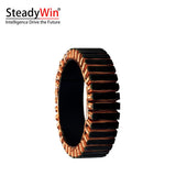 SteadyWin WK10025 Motor