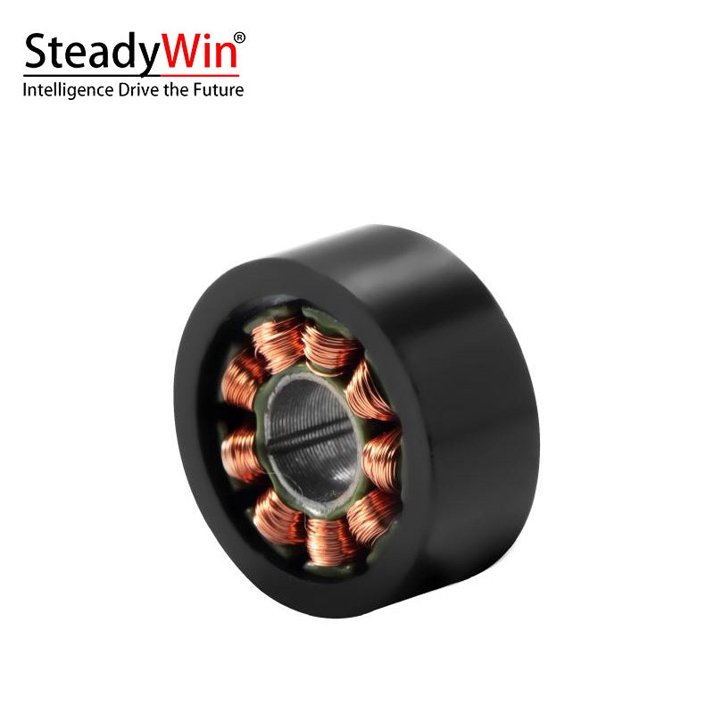 SteadyWin WK1105 Motor