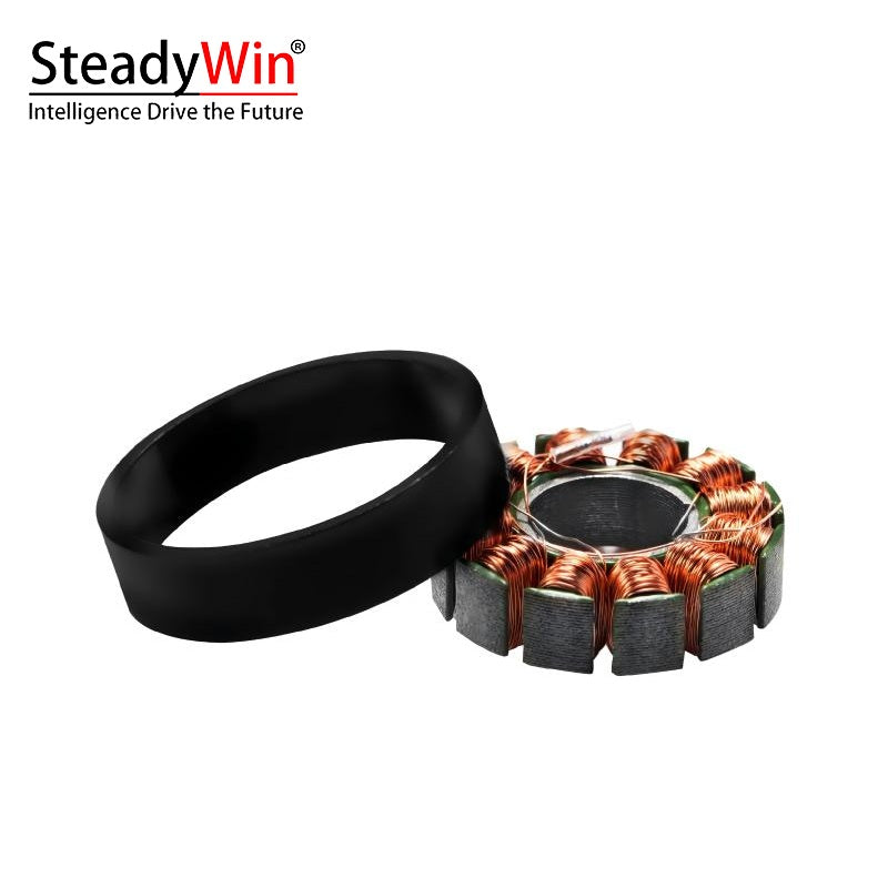 SteadyWin WK2205 Motor