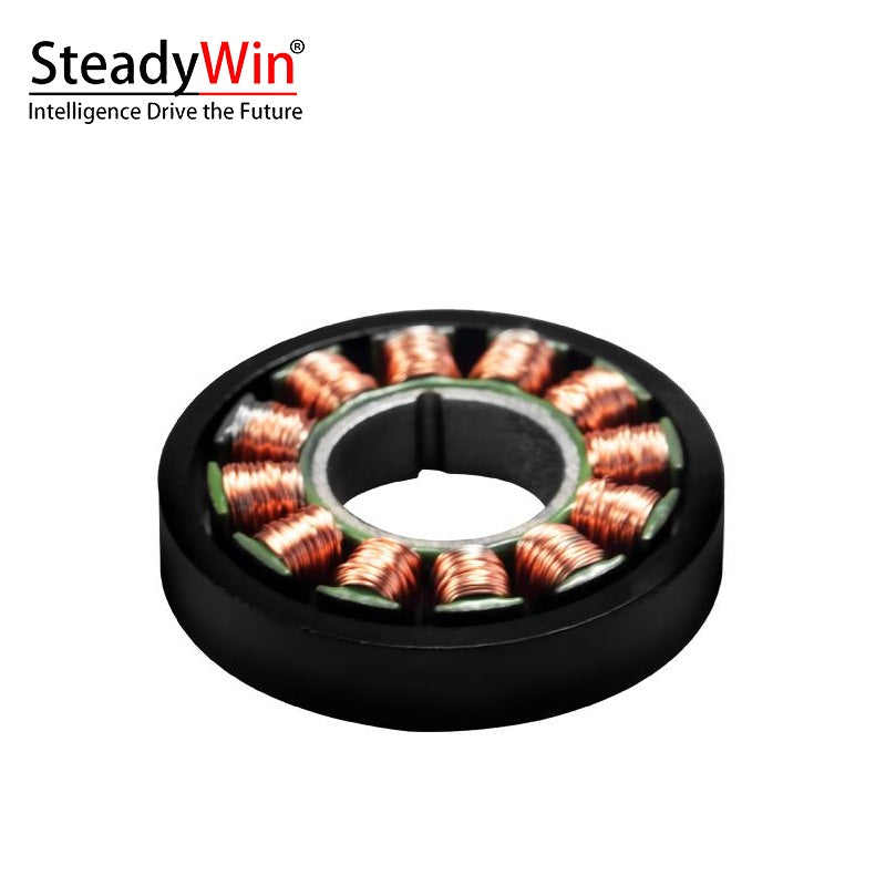 SteadyWin WK2806 Motor