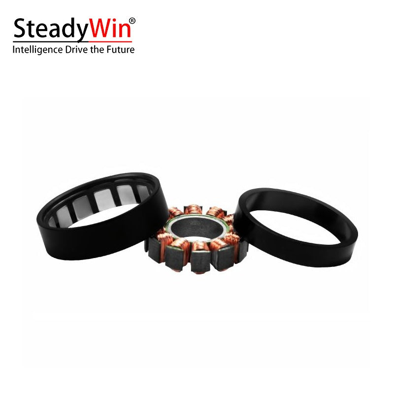 SteadyWin WK2806 Motor