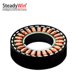 SteadyWin WK4310 Motor
