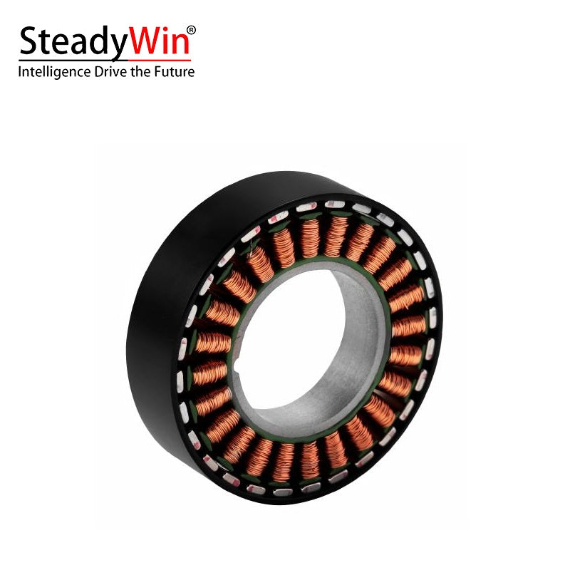 SteadyWin WK4310 Motor