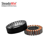 SteadyWin WK4310 Motor