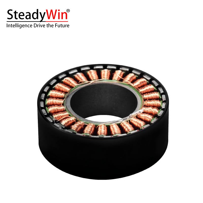 SteadyWin WK4315 Motor