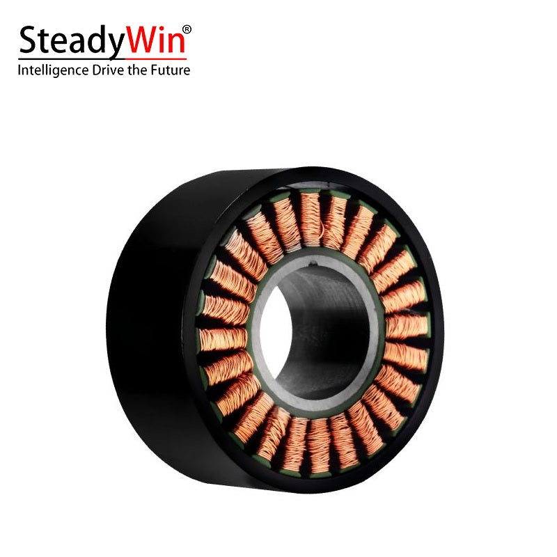 SteadyWin WK5225 Motor