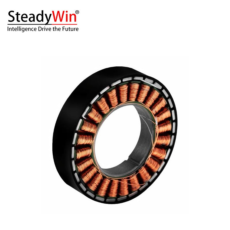 SteadyWin WK6010 Motor
