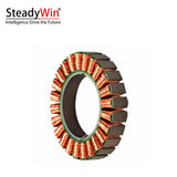 SteadyWin WK6010 Motor