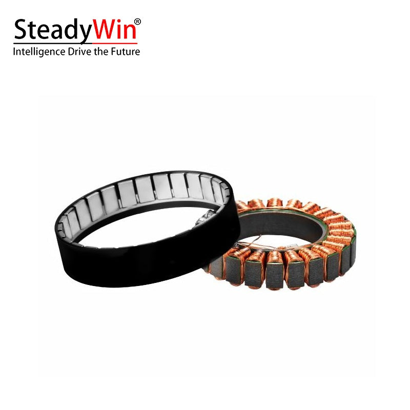 SteadyWin WK6010 Motor