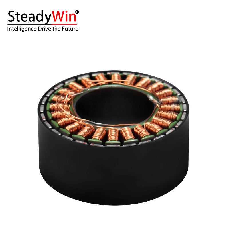 SteadyWin WK6025 Motor