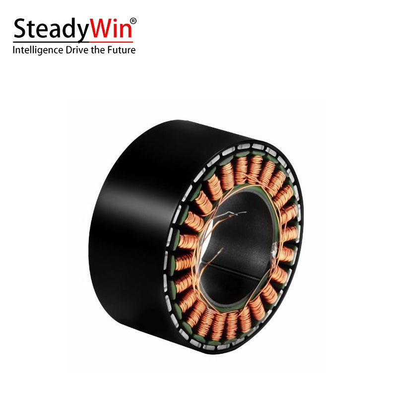 SteadyWin WK6025 Motor