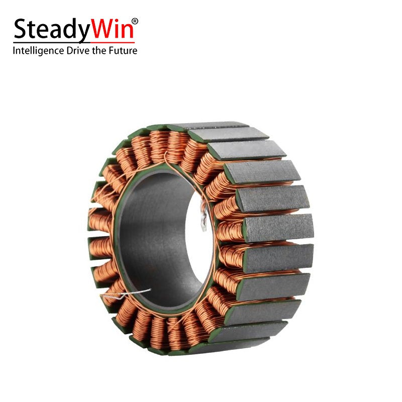 SteadyWin WK6025 Motor