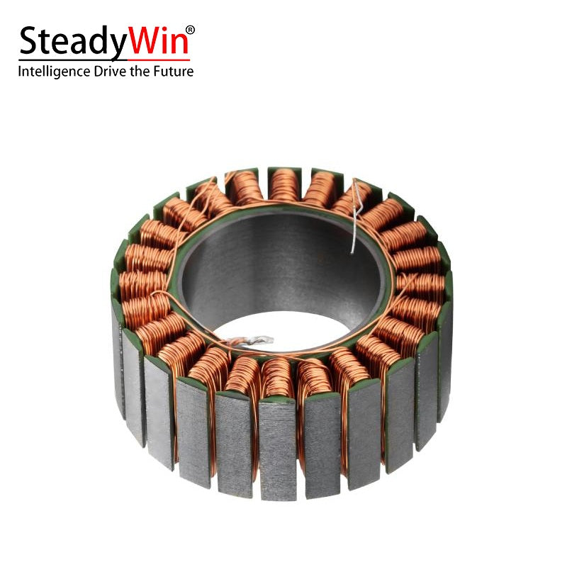 SteadyWin WK6025 Motor