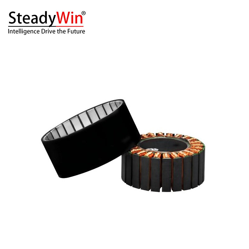 SteadyWin WK6025 Motor