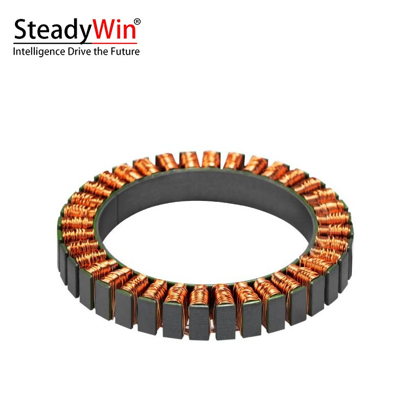 SteadyWin WK8110 Motor