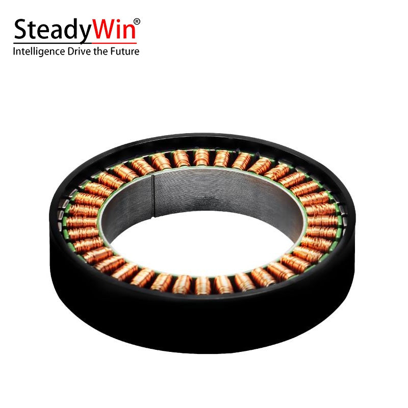 SteadyWin WK8115 Motor