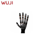 WUJI HAND 2