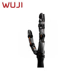 WUJI HAND 2