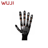 WUJI HAND 2