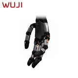 WUJI HAND 2