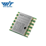 WitMotion WT1-IMU Sensor