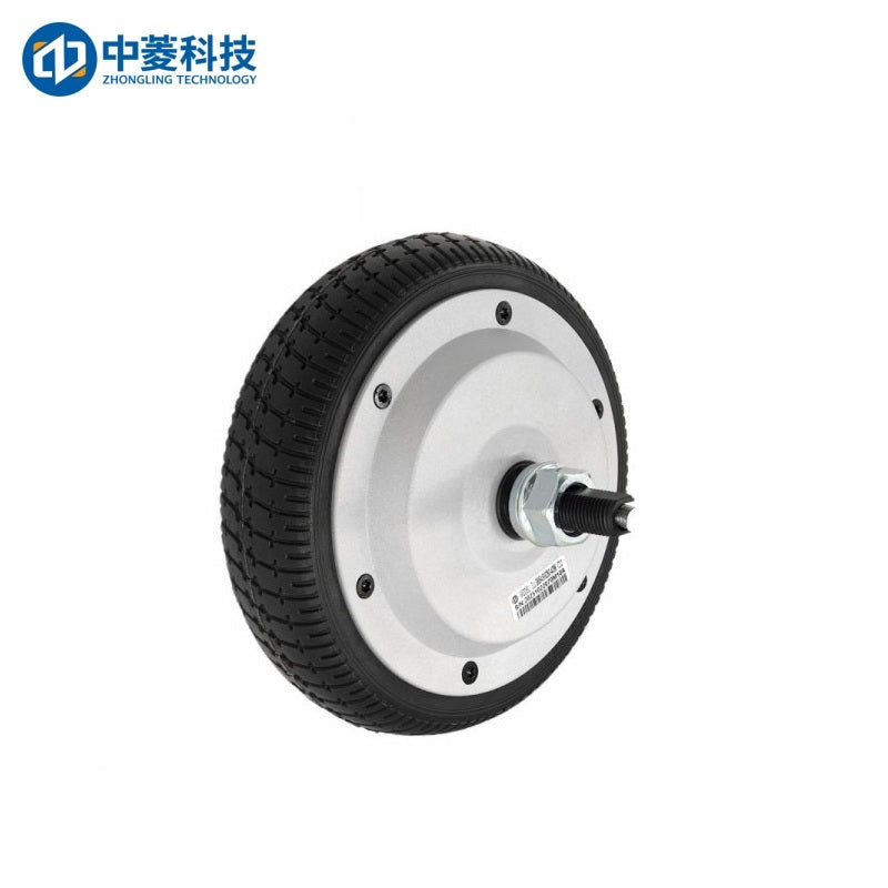 ZHONGLING ZLLG65-ASM250-4096 V2.0 Motor