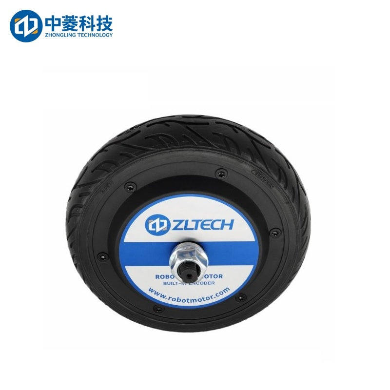 ZHONGLING ZLLG65-ASM250-L V1.0 Motor